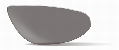 Polarized Smoke Gray glazen voor de BRICK